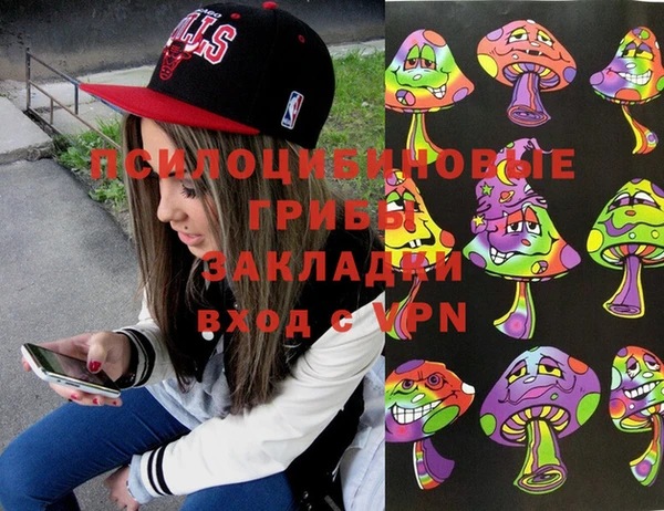 крисы Гусиноозёрск