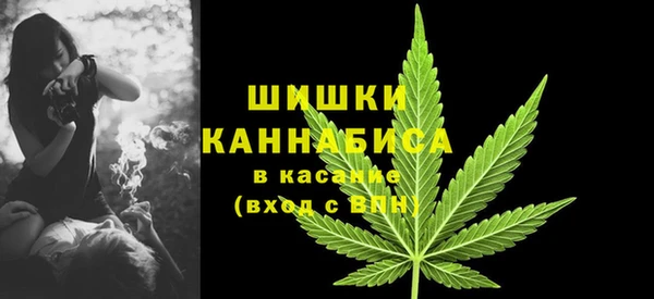 дживик Гусев