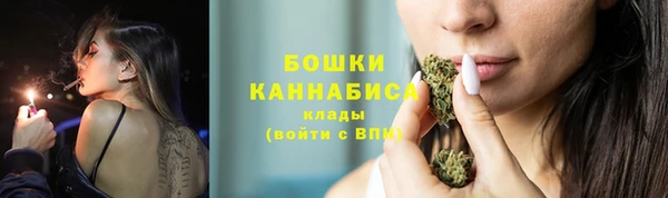 крисы Гусиноозёрск