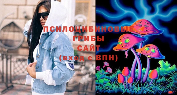 дживик Гусев