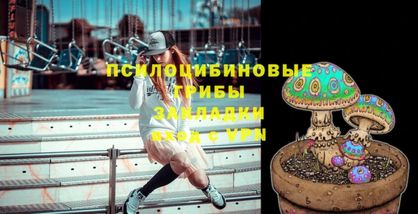 дживик Гусев