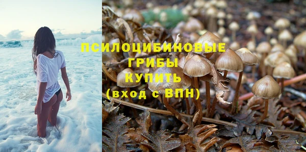 бутират Гусь-Хрустальный