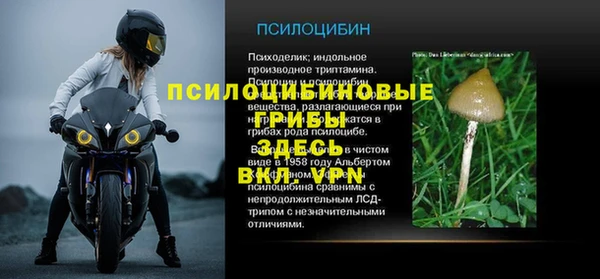 дживик Гусев
