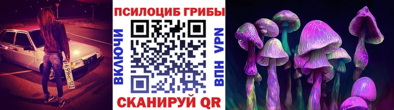 Галлюциногенные грибы прущие грибы Зеленогорск