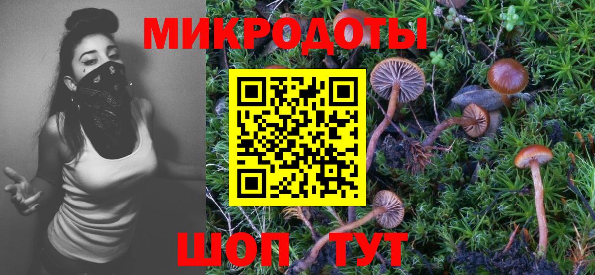 Галлюциногенные грибы мухоморы  Псилоцибиновые грибы ЛСД  где купить наркоту  Вход с VPN  Зеленогорск 